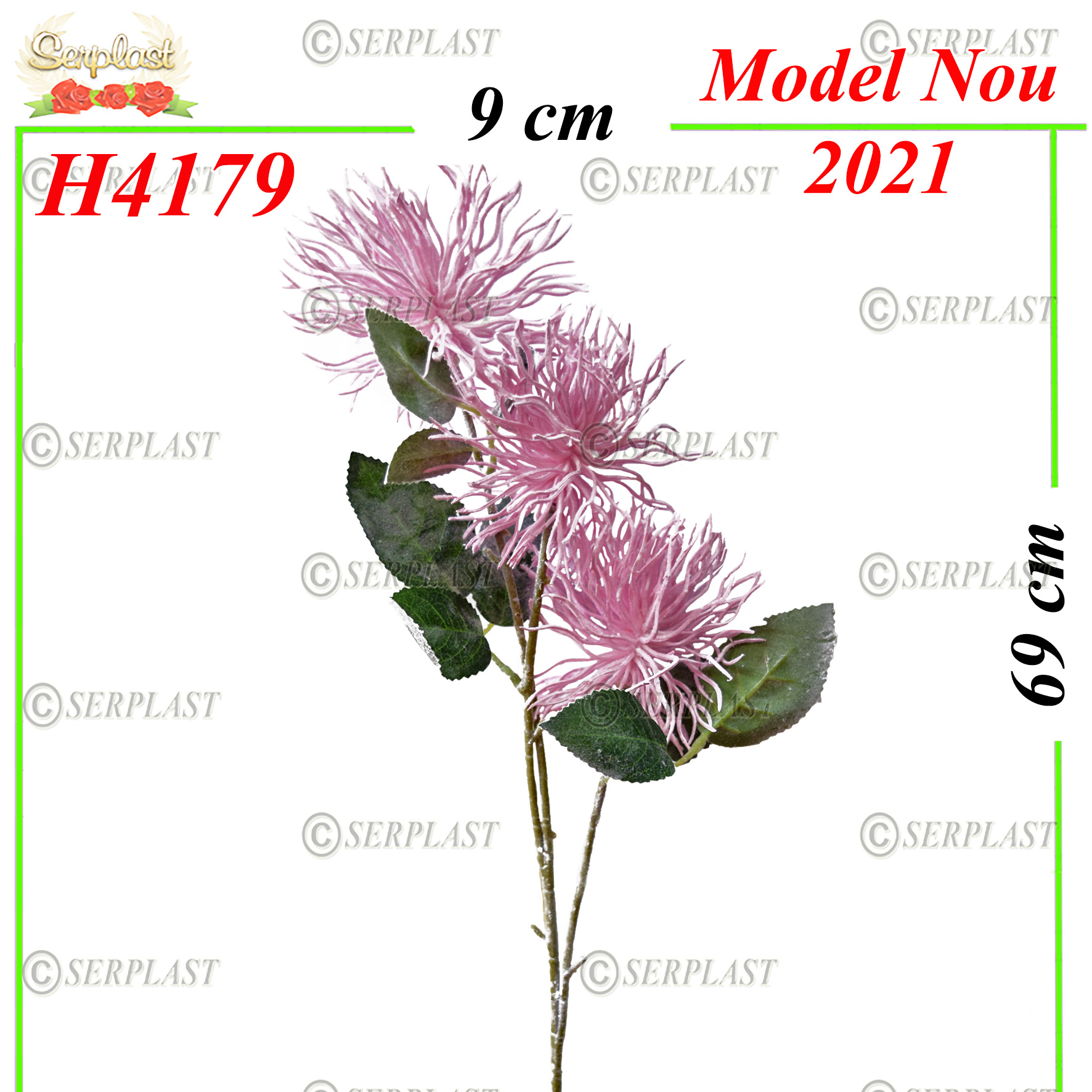 H4179 Floare